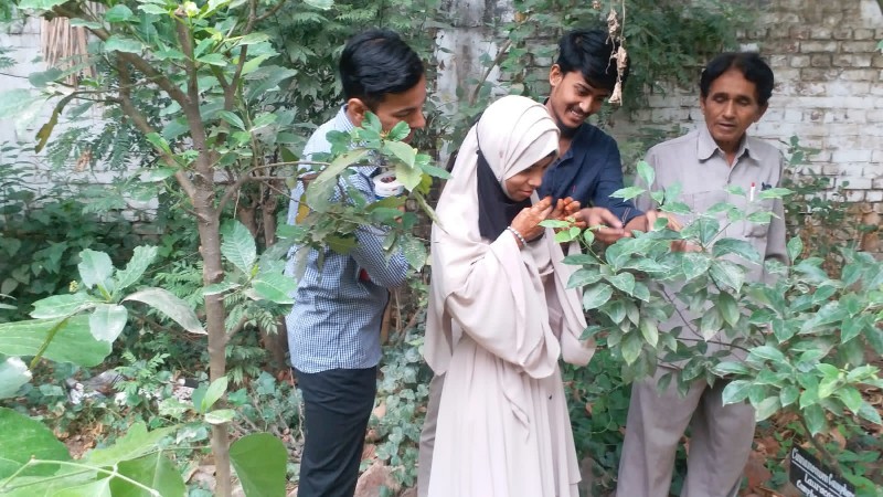 Field Work of Botany Department